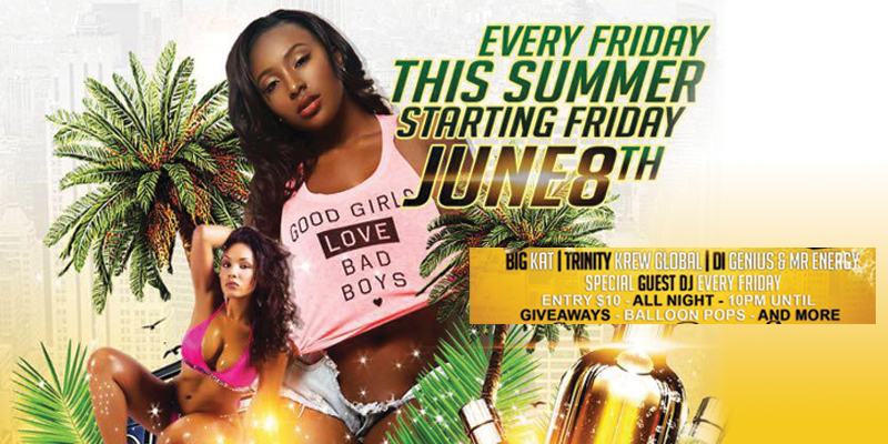 Own The Summer